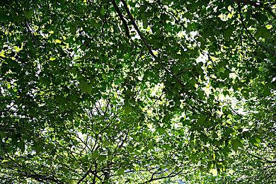 《杀戮空间3》最新更新发布 多项调整追加新武器